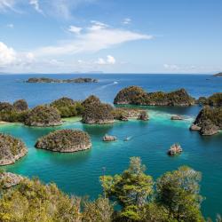 Raja Ampat 10家度假村