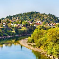 Podgorica County 59家乡村别墅